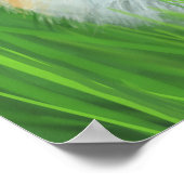 キツネ – ポスター (角)