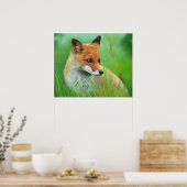 キツネ – ポスター (キッチン)