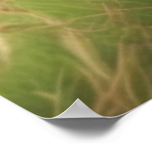 キツネ ポスター (角)