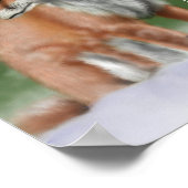 キツネ ポスター (角)