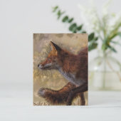 キツネ ポストカード (スタンド正面)