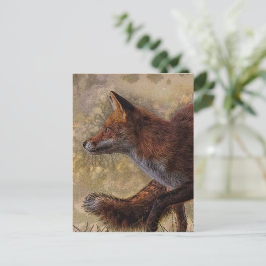 キツネ ポストカード (スタンド正面)