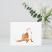 キツネ ポストカード (スタンド正面)