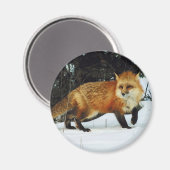 キツネ マグネット (正面/裏面)