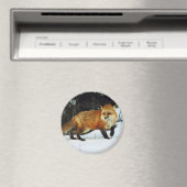 キツネ マグネット (インサイチュ (食洗機))