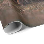 キツネ ラッピングペーパー (ロールコーナー)