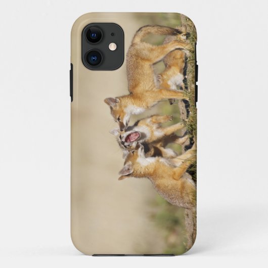 キツネ(Vulpes macrotis)の子供巣穴で、 Case-Mate iPhoneケース (裏面)