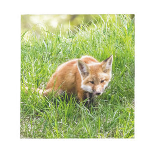キツネCub ノートパッド
