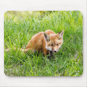 キツネCub マウスパッド