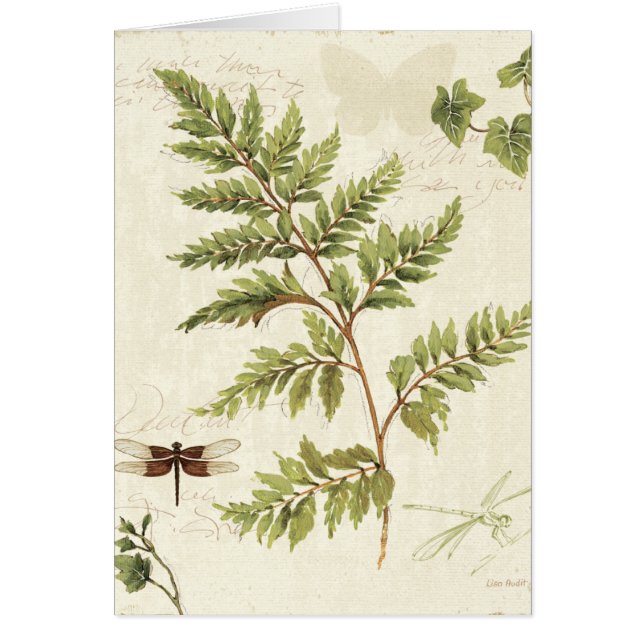 キヅタおよびシダ (正面)