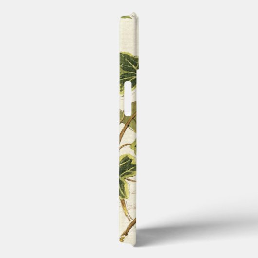 キヅタおよび蝶 Case-Mate iPhoneケース (裏面 / 右)