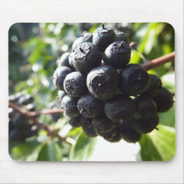 キヅタの果実のマウスパッド マウスパッド