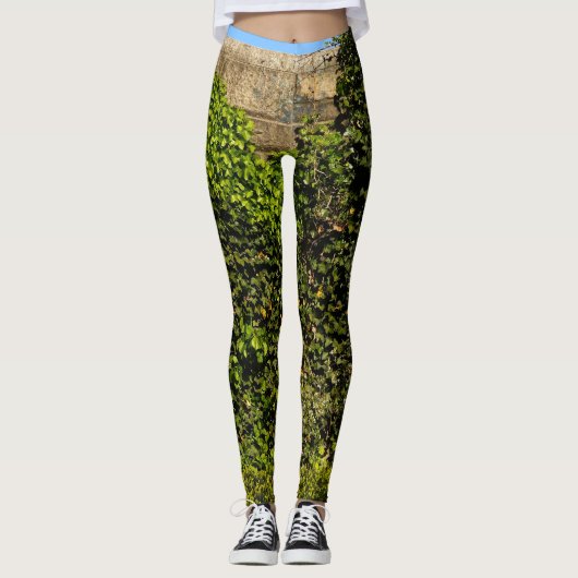 キヅタは青空のレギングで石塀を覆いました レギンス (正面)