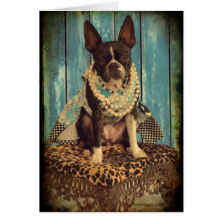 キヅタボストンテリア