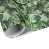 キヅタ ラッピングペーパー (ロールコーナー)