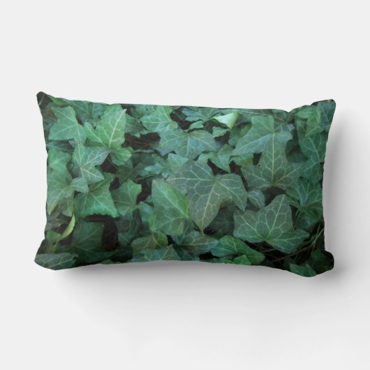 キヅタ ランバークッション (裏面)