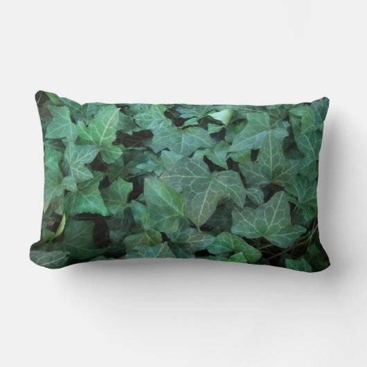 キヅタ ランバークッション (正面)