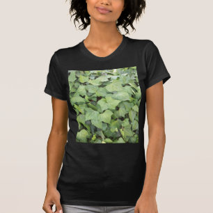 キヅタ Tシャツ