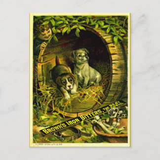 キティが訪問してきた ポストカード