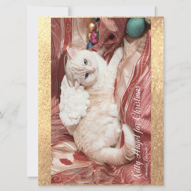 キティエンジェルforクリスマス (正面)