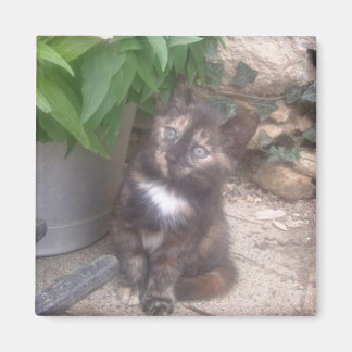 キティキャット冷蔵庫用マグネット マグネット