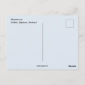 キティラ・ラップランドのトナカイ ポストカード (裏面)