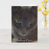 キティ猫グリーティングカード カード (黄色い花)