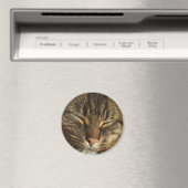 キティ猫マグネット マグネット (インサイチュ (食洗機))