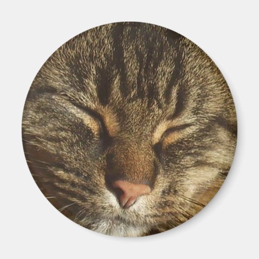 キティ猫マグネット マグネット (正面)
