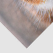 キティ猫顔ティッシュペーパー 薄葉紙 (詳細)