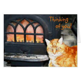 キティ考えるネコのカード