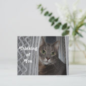 キティ考えキャズオブユー ポストカード (スタンド正面)