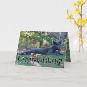 キティ・キャットおめでとう カード (黄色い花)