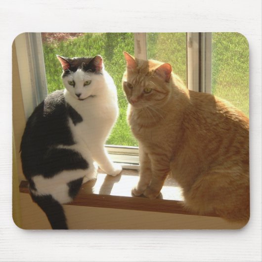 キティ・キャット・ラブ マウスパッド (正面)