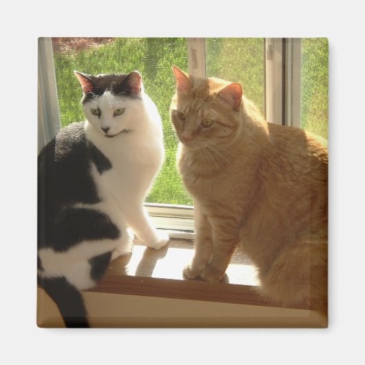 キティ・キャット・ラブ マグネット (正面)