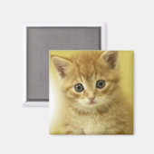 キティ マグネット (正面/裏面)