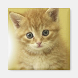 キティ マグネット