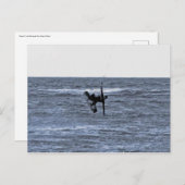 キテサーファー葉書 ポストカード (正面/裏面)