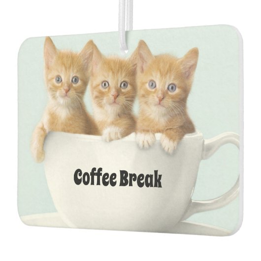 キテンスエアフレッシュナー カーエアーフレッシュナー (左)