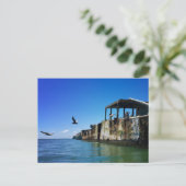 キトペケコンクリートの船とカモメ ポストカード (スタンド正面)