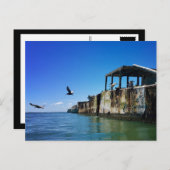 キトペケコンクリートの船とカモメ ポストカード (正面/裏面)