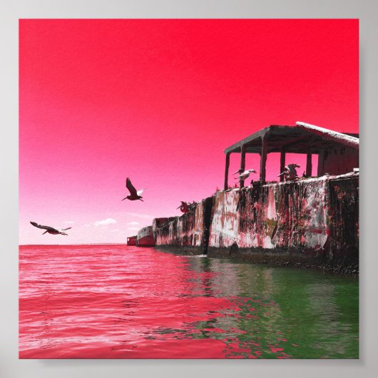 キトペケ州パークコンクリート船ドリームダイズ ポスター (正面)