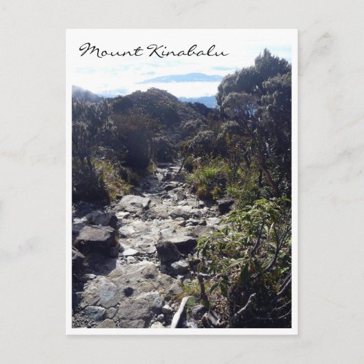 キナバルトレイル ポストカード (正面)