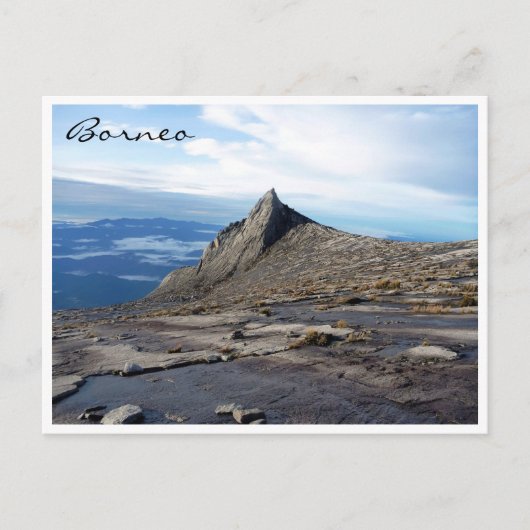 キナバルボルネオ ポストカード (正面)
