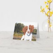 キニアートオレンジブリタニーカード カード (黄色い花)