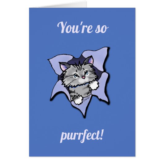 キニアート子猫ブラスト (正面)