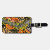 キニスナ·アマトールの枝に生える菌類 ラゲッジタグ (正面横)