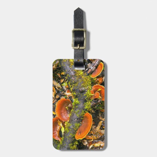 キニスナ·アマトールの枝に生える菌類 ラゲッジタグ (正面縦)