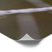 キニー郡、テキサス州。金頬のワルラー ポスター (角)