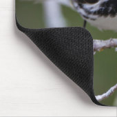 キニー郡、テキサス州。金頬のワルラー マウスパッド (コーナー)